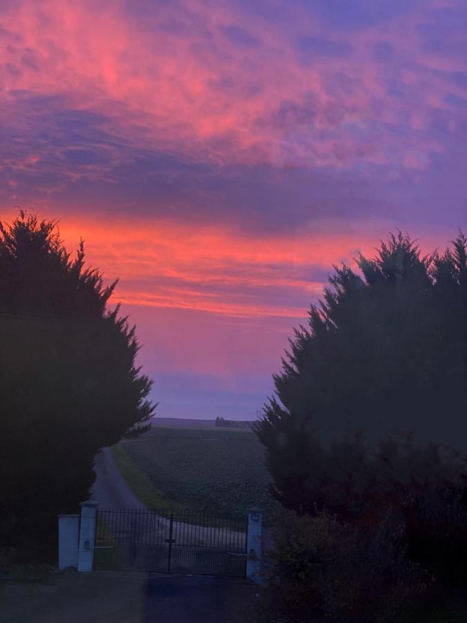 Villa Bois De Crane Landes-le-Gaulois Esterno foto