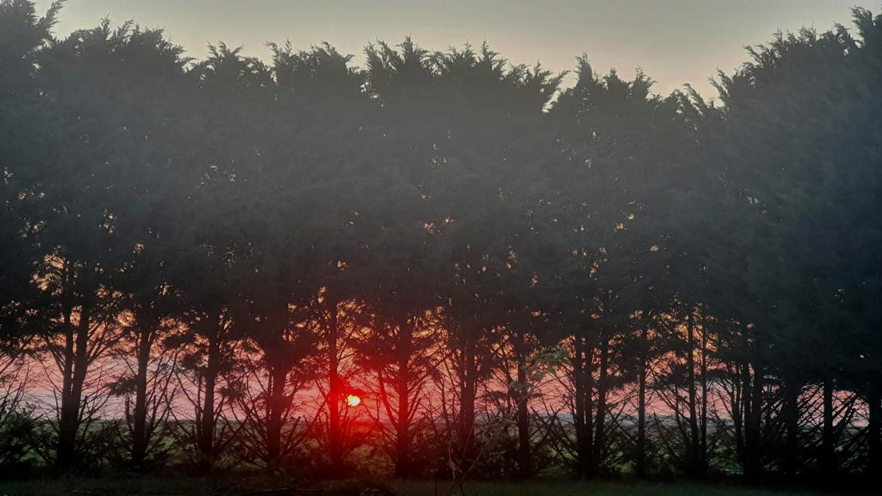 Villa Bois De Crane Landes-le-Gaulois Esterno foto